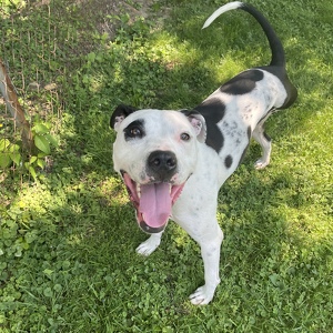 Fundraising Page: MICKEY - PAC Alum Conway